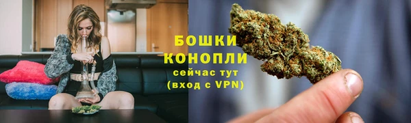 экстази Белокуриха