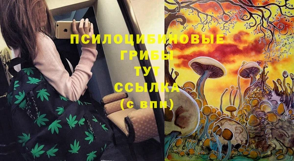 экстази Белокуриха