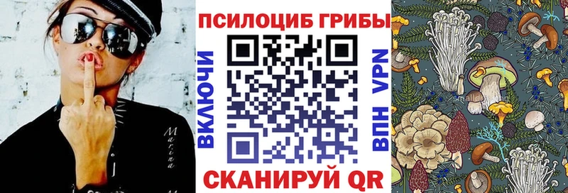 hydra tor  Пионерский  Псилоцибиновые грибы Cubensis 